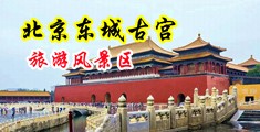 美女被鸡巴日的视频中国北京-东城古宫旅游风景区